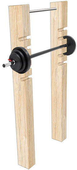 squat and pull up station