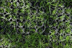 Grass mat safety surface