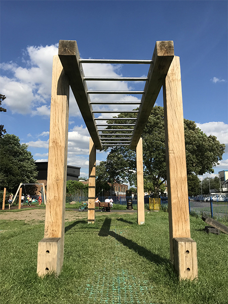 Monkey bars for fitness and play