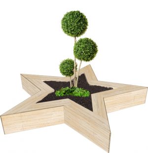 Star Planter