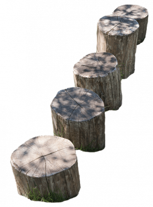 Wooden Playground stumps