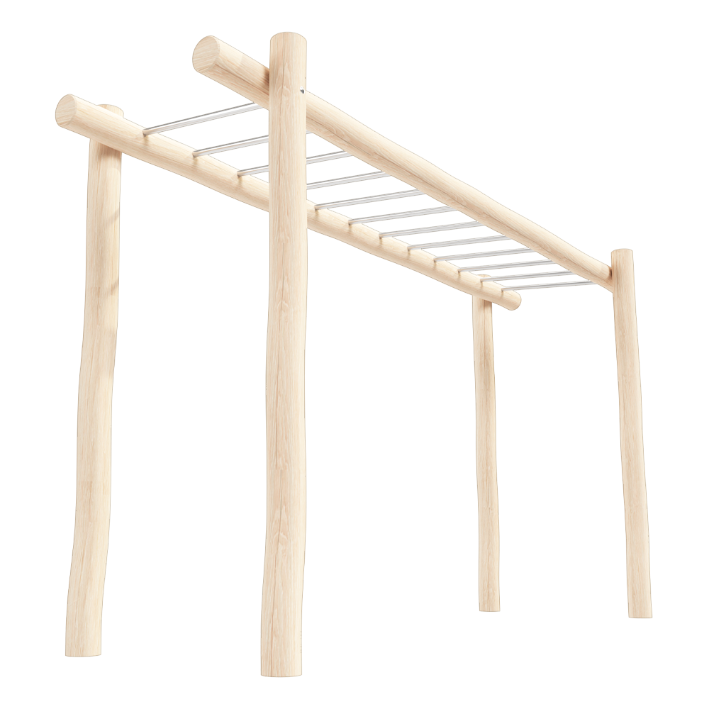 Robinia Monkey Bars